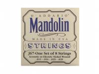 D´Addario EJ67 D´Addario EJ67